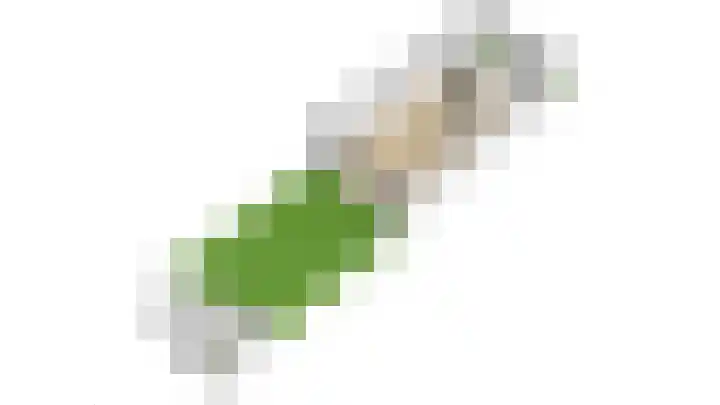 Prattenburg 1 Vleuten thumbnail 47