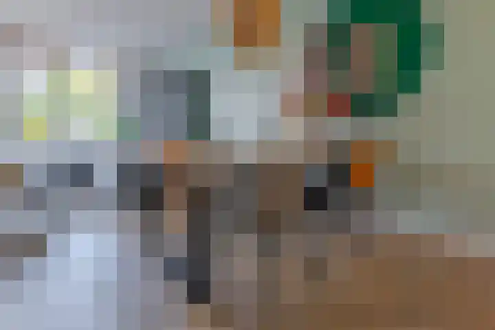 Prattenburg 1 Vleuten thumbnail 9