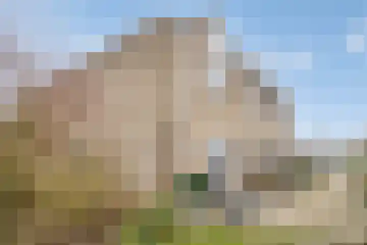 Prattenburg 13 Vlissingen thumbnail 32