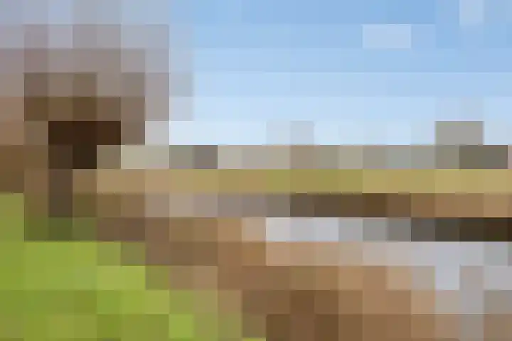 Prattenburg 13 Vlissingen thumbnail 34