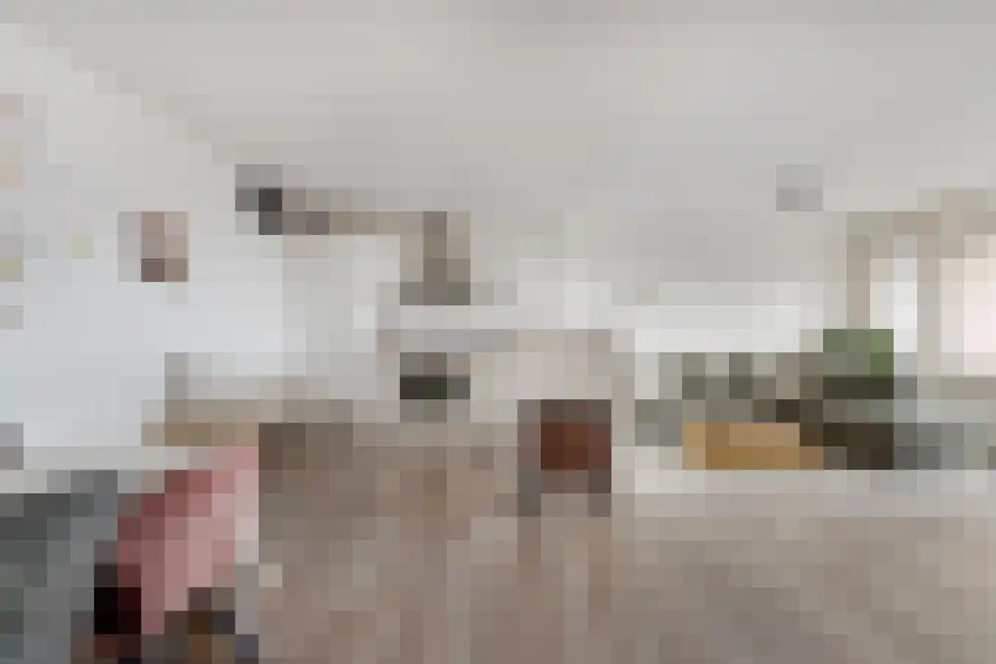 Prattenburg 137 Haarlem thumbnail 9