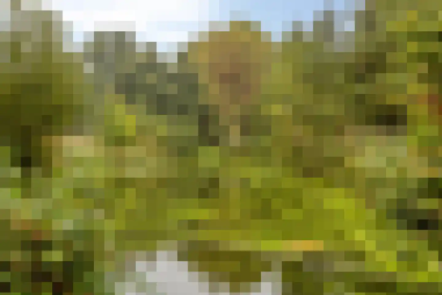 Prattenburg 145 Haarlem thumbnail 18