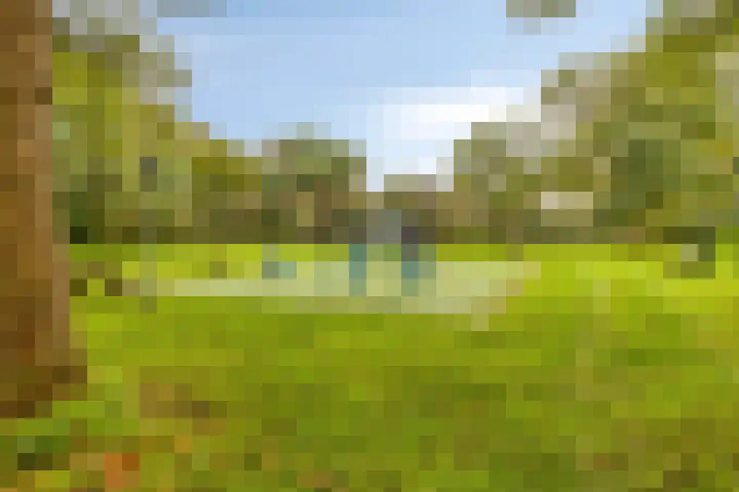 Prattenburg 145 Haarlem thumbnail 19