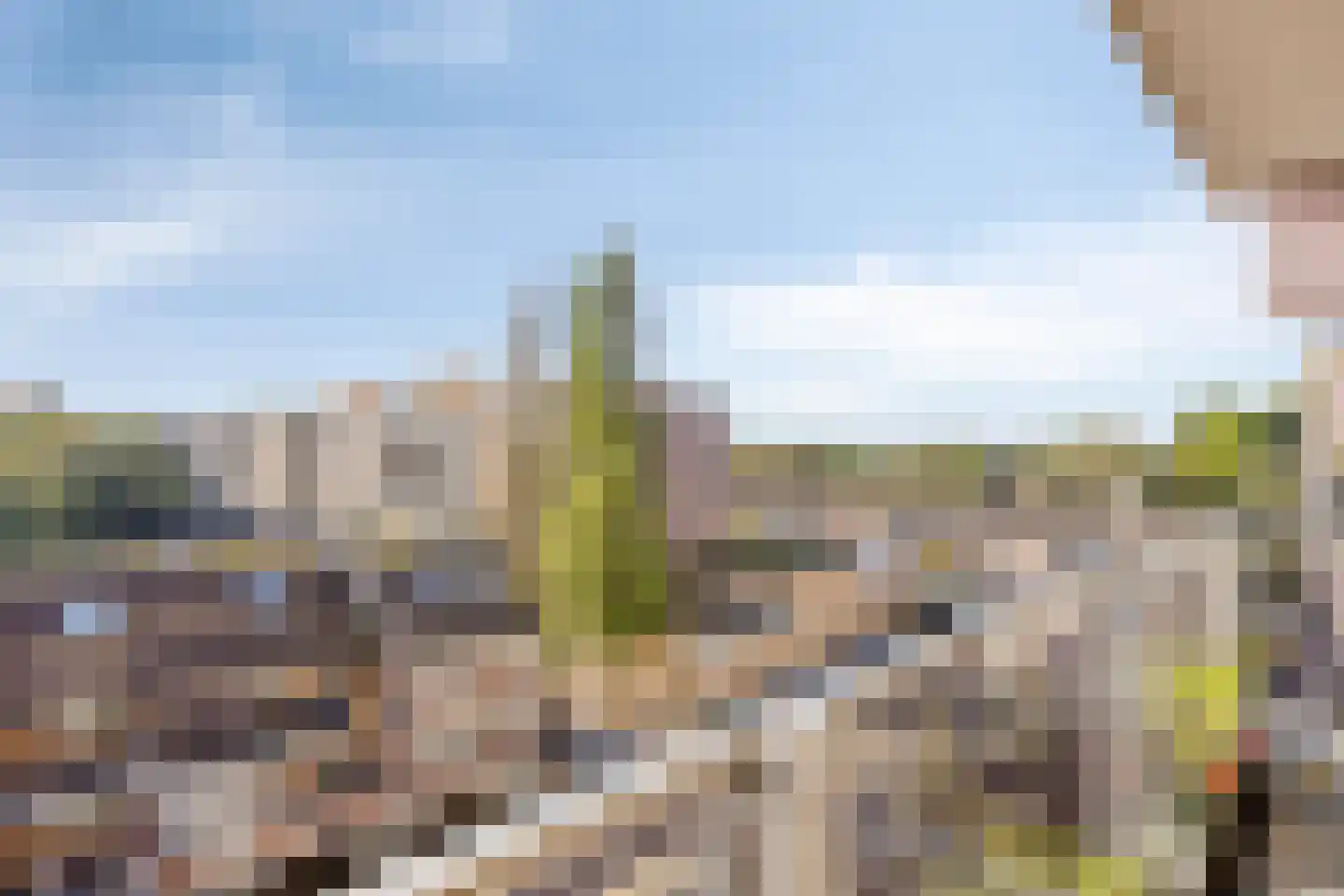Prattenburg 145 Haarlem thumbnail 21
