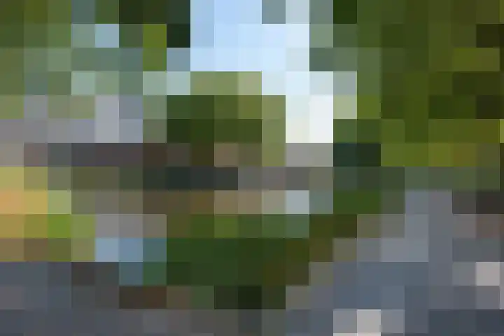 Prattenburg 165 Haarlem thumbnail 18