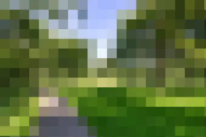Prattenburg 165 Haarlem thumbnail 19