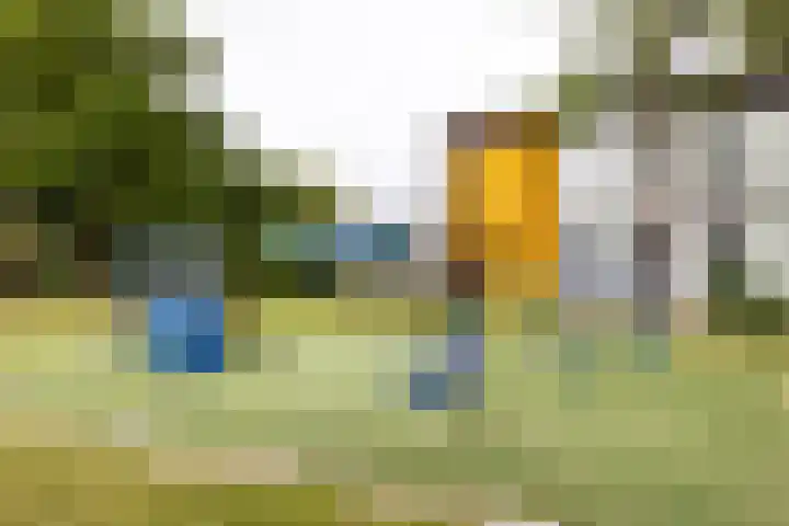 Prattenburg 181 Haarlem thumbnail 30