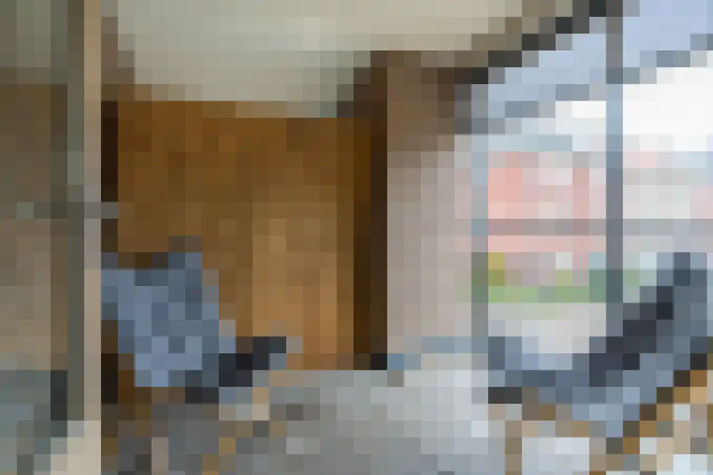 Prattenburg 2 Vleuten thumbnail 24