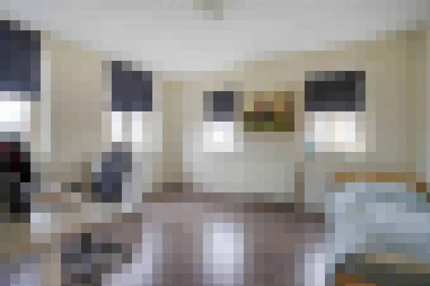 Prattenburg 2 Vleuten thumbnail 35