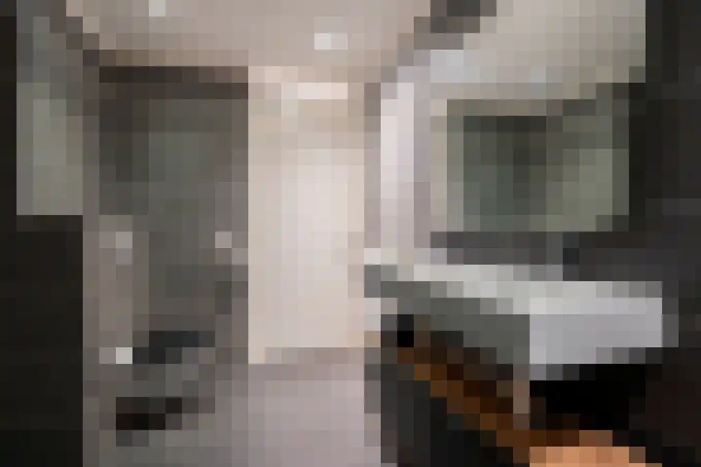 Prattenburg 2 Vleuten thumbnail 41