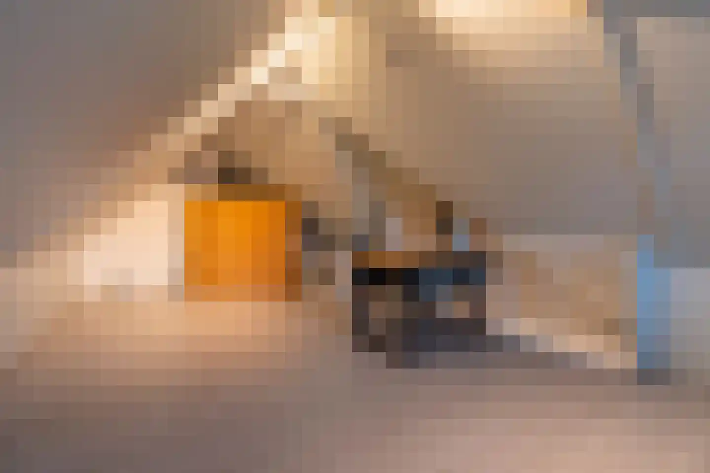 Prattenburg 2 Vleuten thumbnail 43