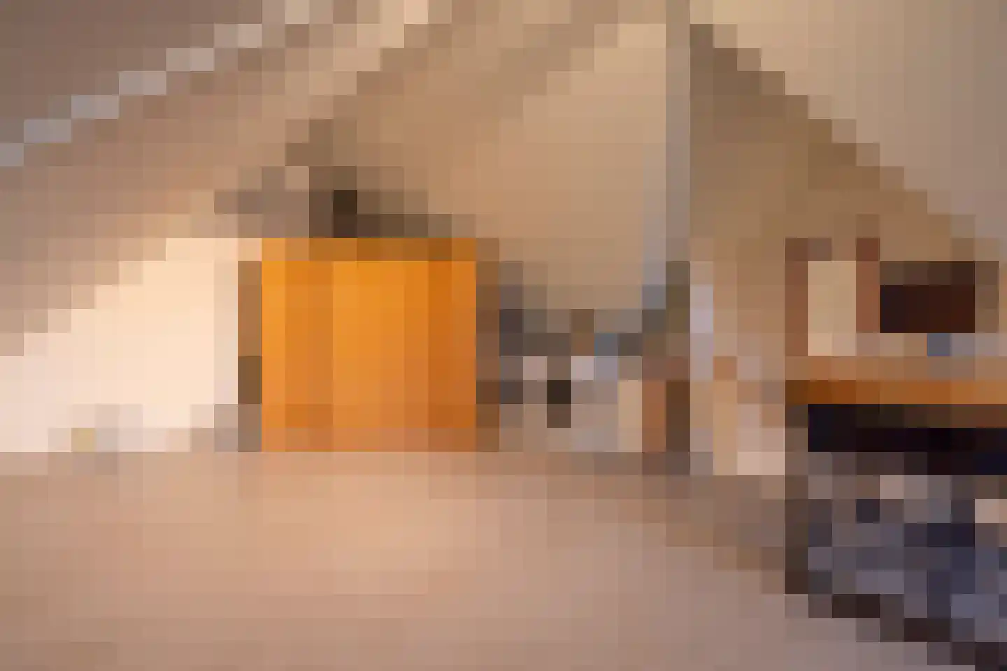 Prattenburg 2 Vleuten thumbnail 44