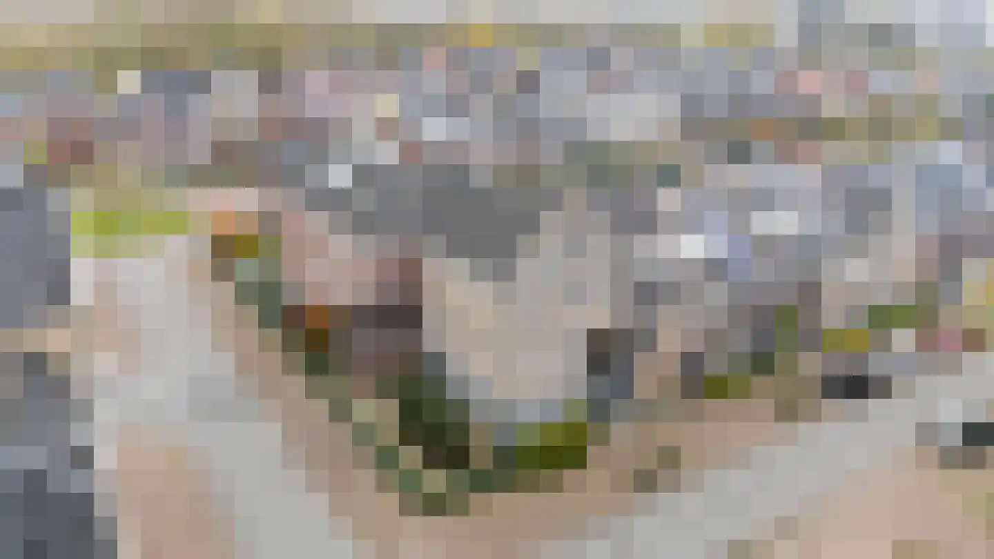 Prattenburg 2 Vleuten thumbnail 47