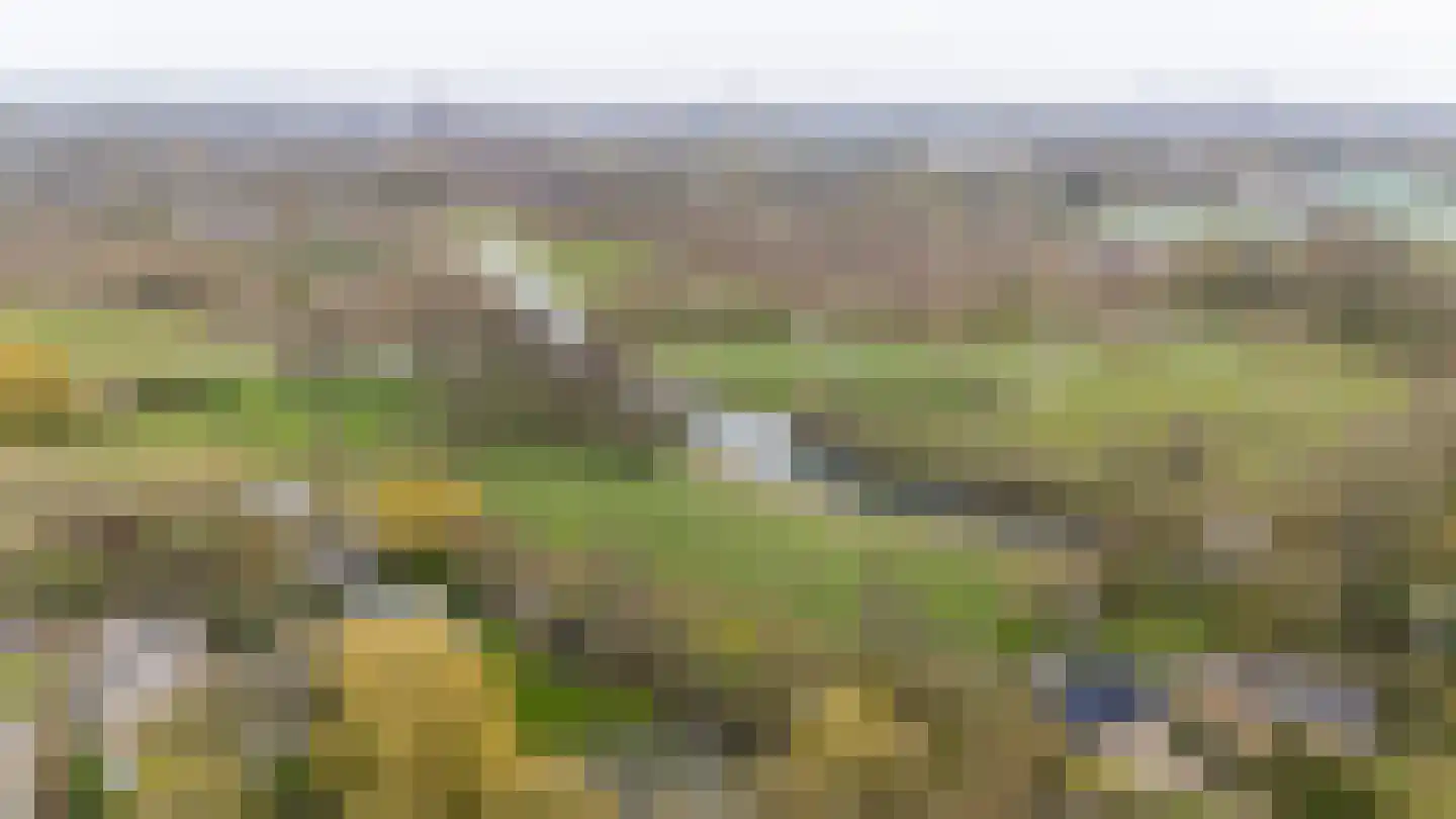 Prattenburg 2 Vleuten thumbnail 52