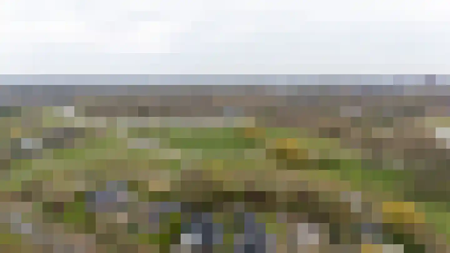 Prattenburg 2 Vleuten thumbnail 53