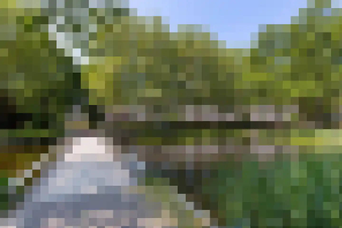 Prattenburg 213 Haarlem thumbnail 21