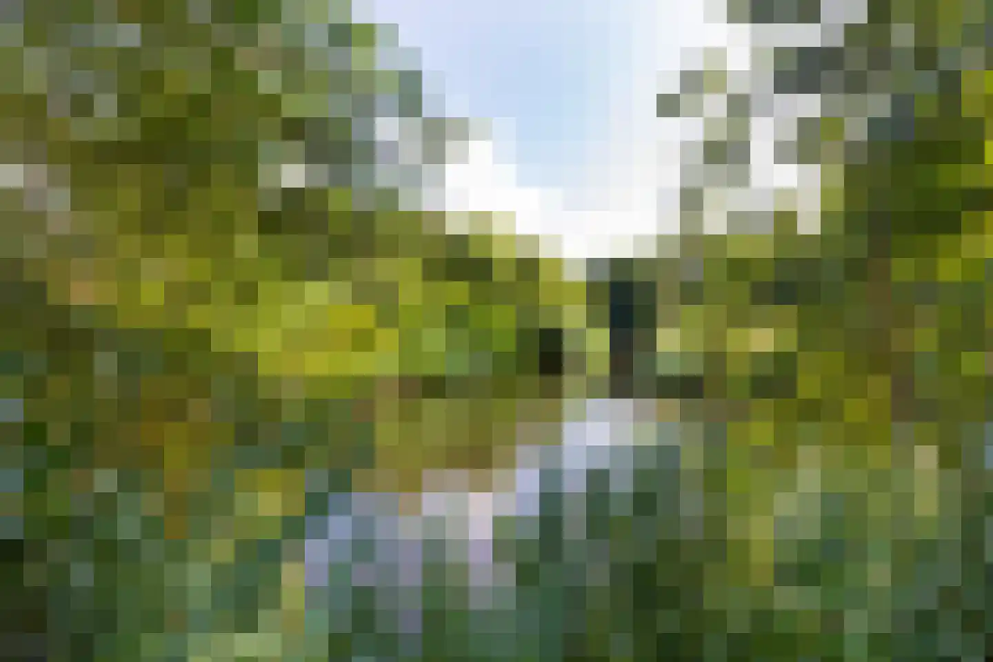 Prattenburg 213 Haarlem thumbnail 24