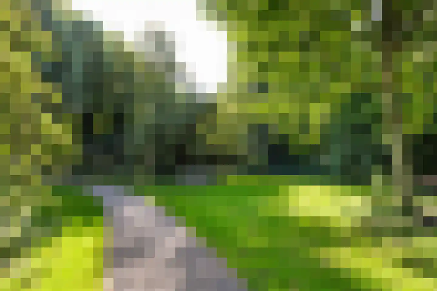 Prattenburg 213 Haarlem thumbnail 25
