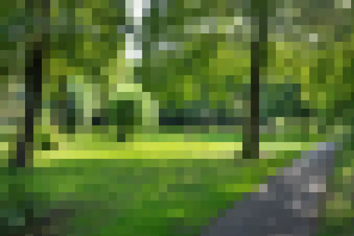 Prattenburg 213 Haarlem thumbnail 26