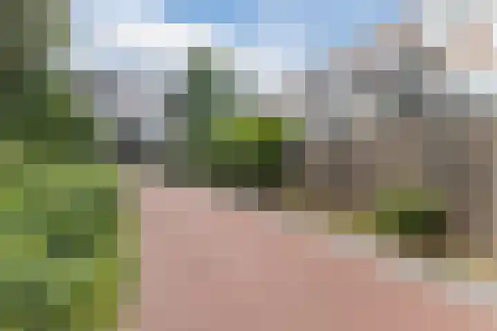 Prattenburg 24 Haarlem thumbnail 13