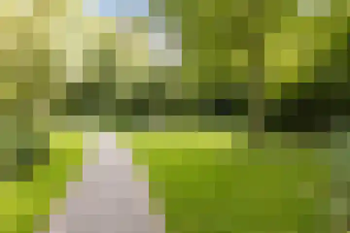 Prattenburg 24 Haarlem thumbnail 14