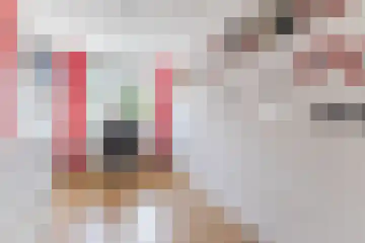 Prattenburg 24 Haarlem thumbnail 26