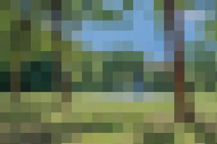 Prattenburg 267 Haarlem thumbnail 25