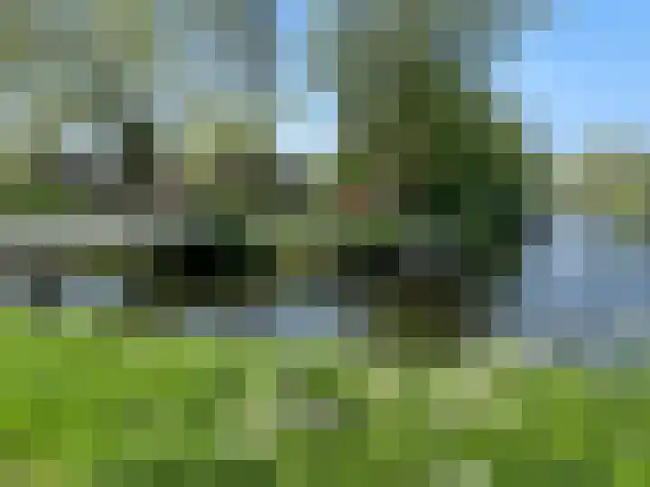 Prattenburg 267 Haarlem thumbnail 26