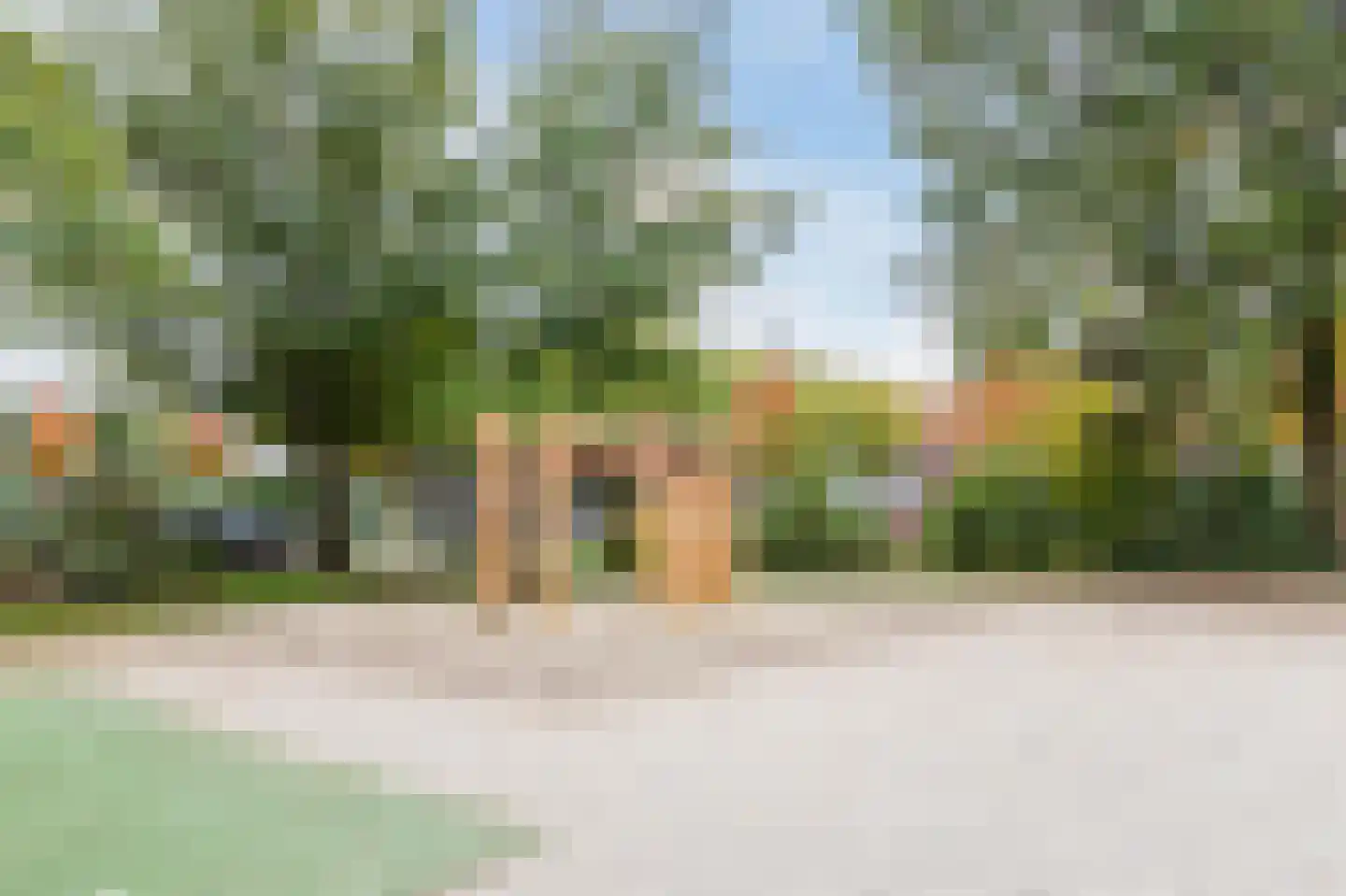 Prattenburg 273 Haarlem thumbnail 42