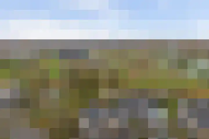 Prattenburg 3 Vlissingen thumbnail 25