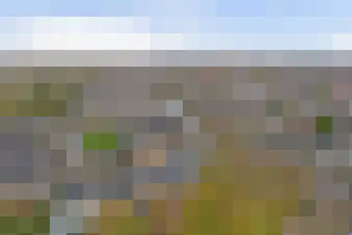 Prattenburg 3 Vlissingen thumbnail 26