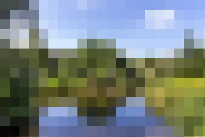 Prattenburg 323 Haarlem thumbnail 21
