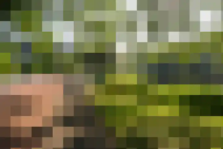 Prattenburg 323 Haarlem thumbnail 22