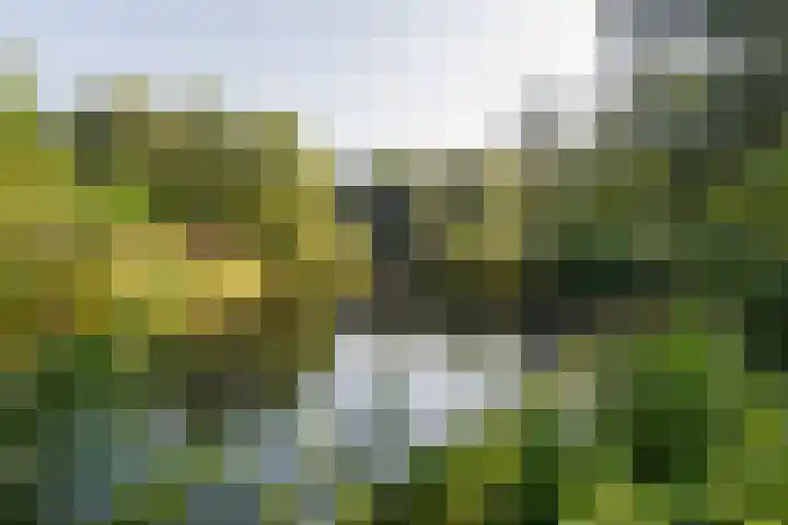 Prattenburg 329 Haarlem thumbnail 25