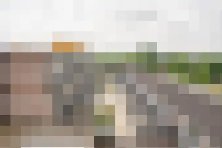 Prattenburg 33 Haarlem thumbnail 31