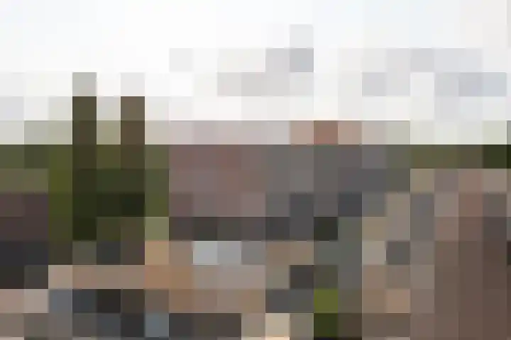 Prattenburg 35 Haarlem thumbnail 21