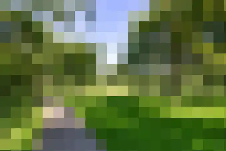 Prattenburg 35 Haarlem thumbnail 27