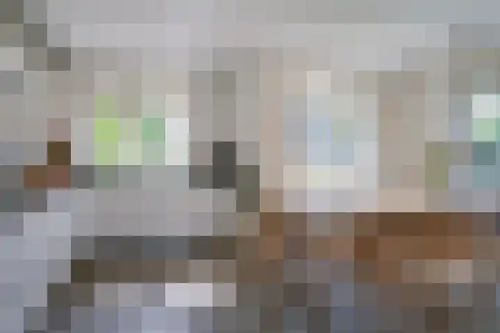 Prattenburg 35 Vleuten thumbnail 10