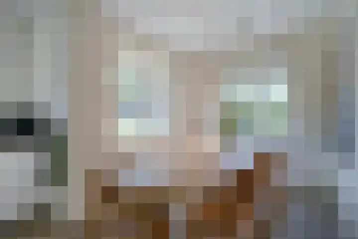 Prattenburg 35 Vleuten thumbnail 11