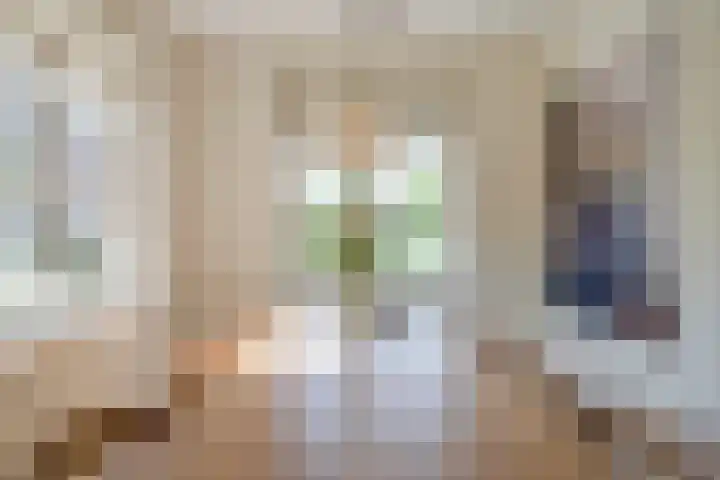 Prattenburg 35 Vleuten thumbnail 13