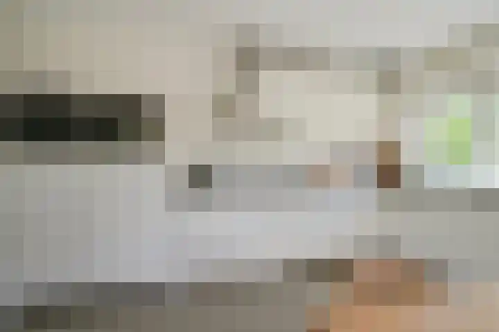 Prattenburg 35 Vleuten thumbnail 14