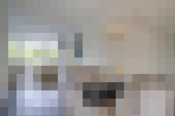 Prattenburg 35 Vleuten thumbnail 16