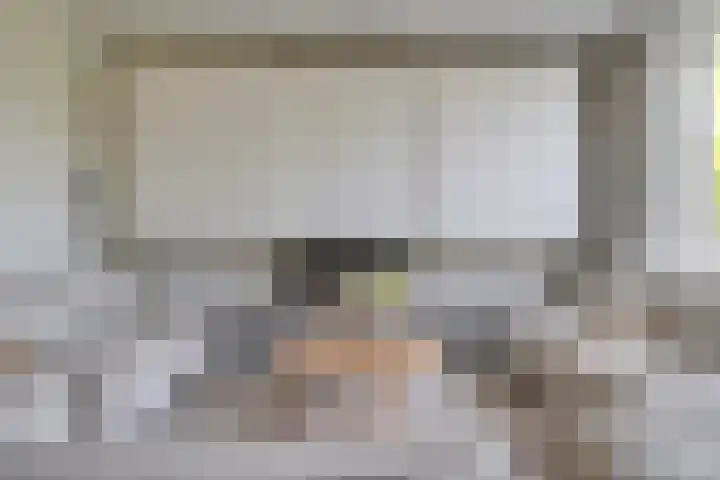 Prattenburg 35 Vleuten thumbnail 19