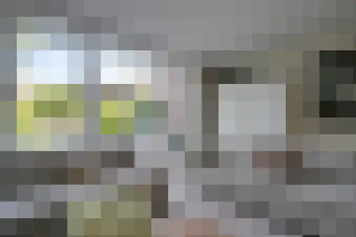 Prattenburg 35 Vleuten thumbnail 22