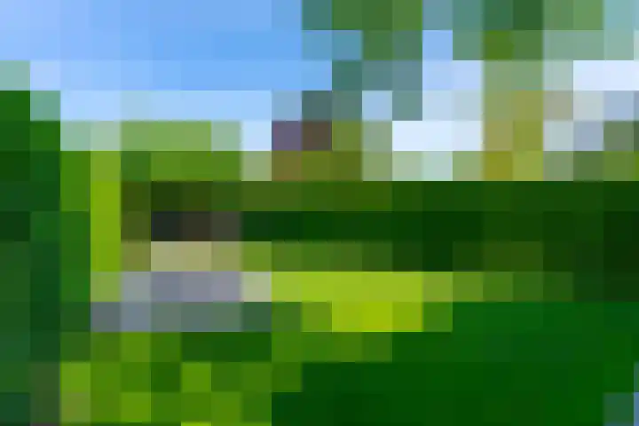 Prattenburg 35 Vleuten thumbnail 24