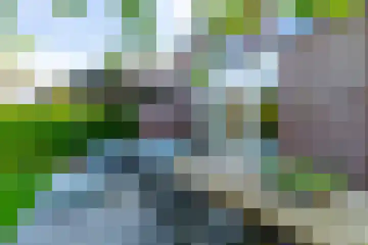 Prattenburg 35 Vleuten thumbnail 25