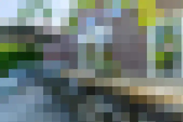 Prattenburg 35 Vleuten thumbnail 26