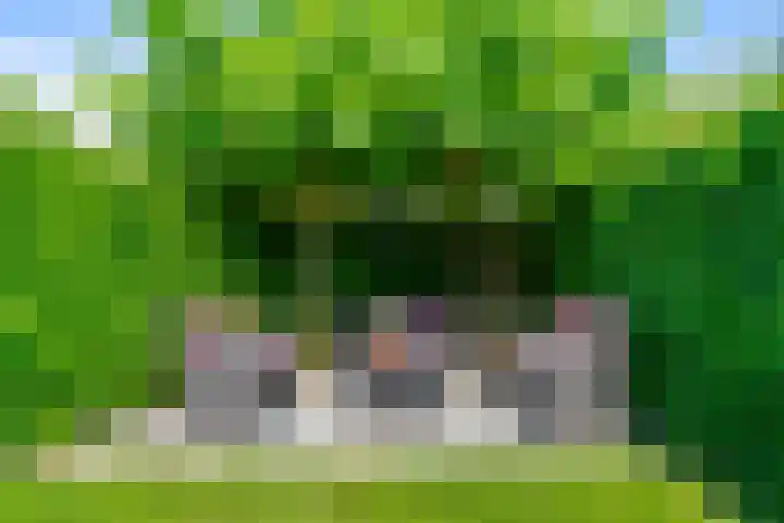 Prattenburg 35 Vleuten thumbnail 28