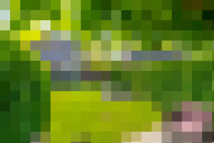 Prattenburg 35 Vleuten thumbnail 29