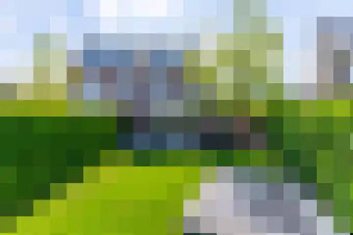 Prattenburg 35 Vleuten thumbnail 30